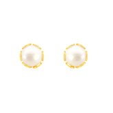 22k Yellow Gold Stud Pearl Earrings with gold weight of 1.46g